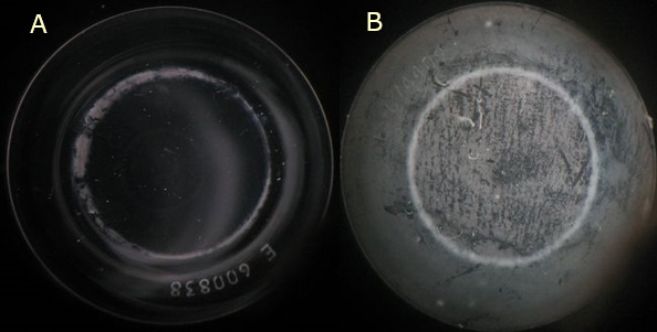 レンズケアの流れ